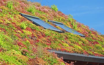 Stanningfield living roof systems