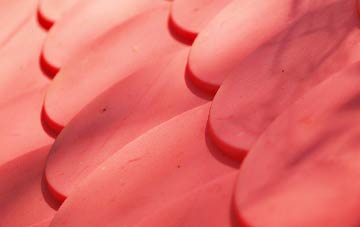 Stanningfield plastic roof costs